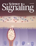 Sci&nbsp;Signal：研究人员发现关键的促癌基因