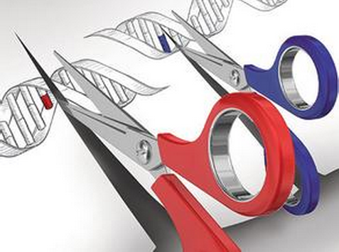 Nature：利用CRISPR-CAS9进行全基因组基因转录激活筛选