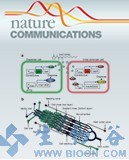 Nature&nbsp;Communications：监测肿瘤状态的特殊基因