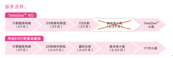 TetraOne&nbsp;KO——基因敲除技术的重大突破