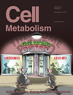 Cell&nbsp;metabolism：如果你正在用转基因鼠来研究糖尿病，你可能有麻烦了！