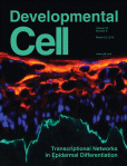 Development&nbsp;cell：应用CRISPR-Cas9实现斑马鱼组织特异性基因敲除