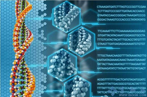 PNAS:外显子变异检测——全基因组测序比全外显子测序更强大