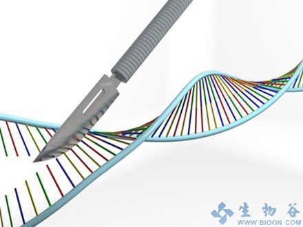 全新基因编辑技术引发研究领域巨变——生物学新利器是把双刃剑