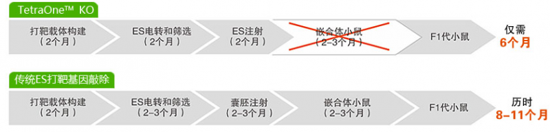 制备动物模型的基因修饰技术