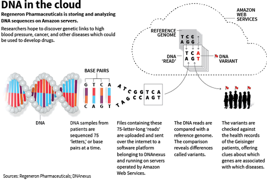 亚马逊和谷歌正针对基因云存储市场展开较量