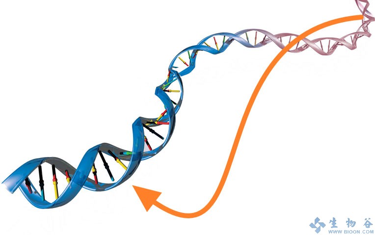 BMC&nbsp;Genomics：基因“跳一跳”，跳出食管癌