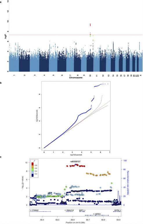 Nature：科学家首次发现抑郁症相关基因