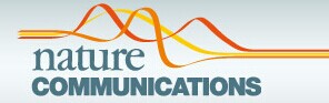 Nature&nbsp;Communications：关键基因过表达会加重慢性肾脏疾病