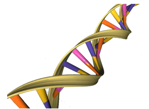 Genome&nbsp;Biol：用于揭示阿尔兹海默氏症早期发病的基因特性