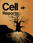 Cell&nbsp;Reports：科学家发现基因促进急性肾损伤的修复