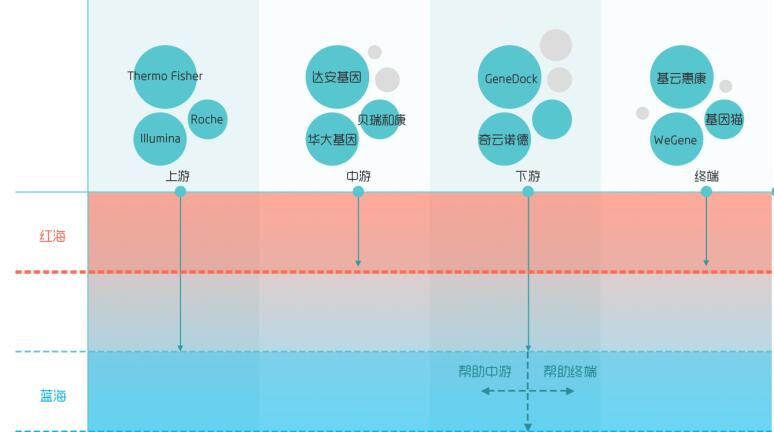 基因检测是如何带来投资机会的，你觉得医生会被淘汰吗？