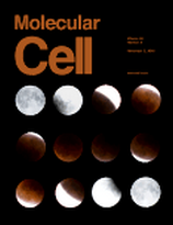 Mol&nbsp;Cell：基因组变成“压缩包”