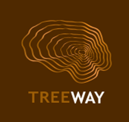 Treeway公司与Cedars-Sinai合作为ALS开发基因疗法