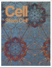 Cell&nbsp;Stem&nbsp;Cell：人类基因组3D图谱的大作用