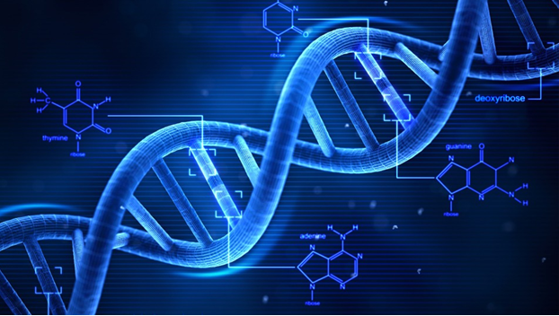 新的研究发现能延缓痴呆症的基因&nbsp;将发病年龄推迟十几年