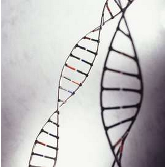 PNAS：基因突变？基因过滤工具出现了