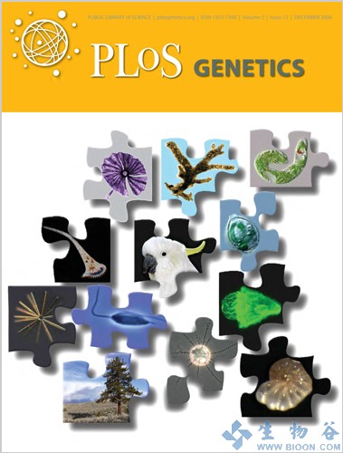 PLoS&nbsp;Genet：成功受孕或许只需要男性Y染色体上的三个基因