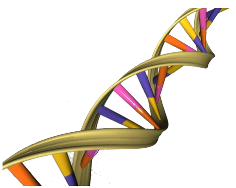 Science：新型基因编辑技术治疗致死性疾病