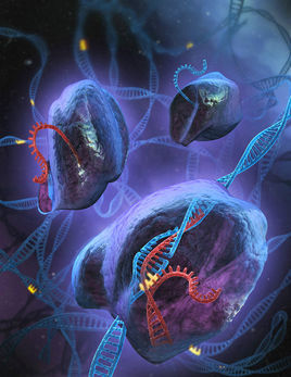 Nature&nbsp;Biotechnol：基因治疗应用CRISPR/Cas9治疗肝脏疾病