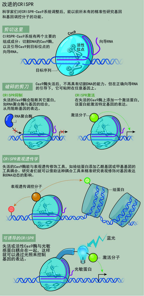 CRISPR：基因编辑刚初出茅庐