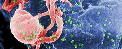 PNAs：人类基因组中藏着病毒的“灵魂”