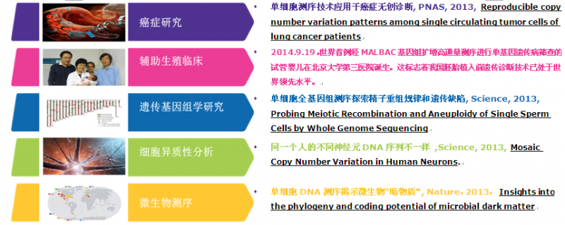 单细胞全基因组测序——求同存异，追本溯源