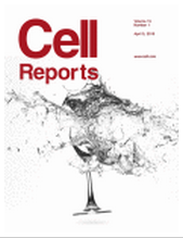 Cell子刊：HIV会对CRISPR/Cas9基因编辑技术产生耐受性