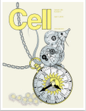 Cell：揭示癌基因调节肿瘤细胞信号转导的分子机制