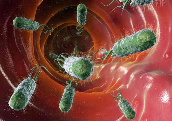 Science：揭秘基因和肠道菌群相互作用引发炎性肠病的分子机制