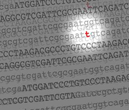 【盘点】Nature多篇亮点研究揭示膀胱肿瘤基因组突变中DNA修复及损伤的关键角色