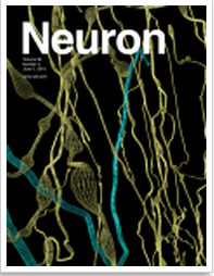 Neuron：重磅！首个基因突变或可解释多发性硬化症发病之谜