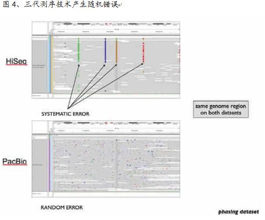 关于三代基因测序，你所需要知道的都在这儿！