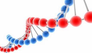 JMD：科学家开发高性价比的癌基因突变快速检测方法