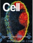 Cell&#160;子刊：特殊基因突变热点或和乳腺癌患者良好预后直接相关