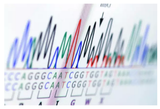 基因测序报告成了读不懂的“天书”，怎么办？