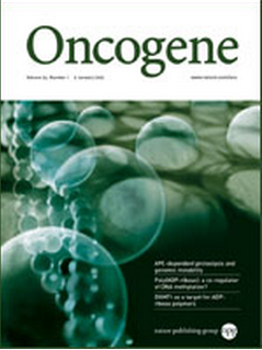 Oncogene：肿瘤抑制蛋白可通过结合DNA和RNA来控制基因表达活性