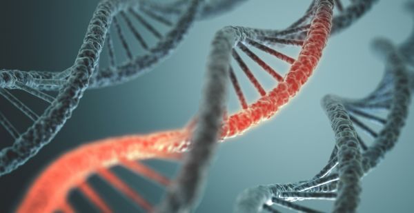 超越CRISPR？科学家新型基因编辑系统寻找之路从未止步！