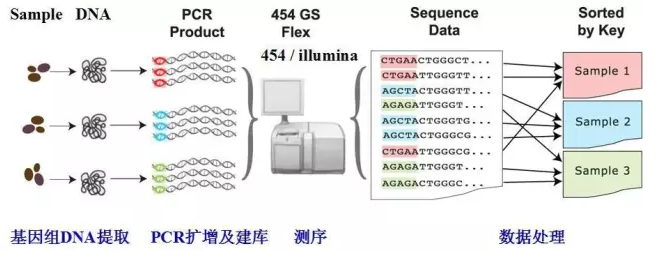 【技术】基因测序那些事