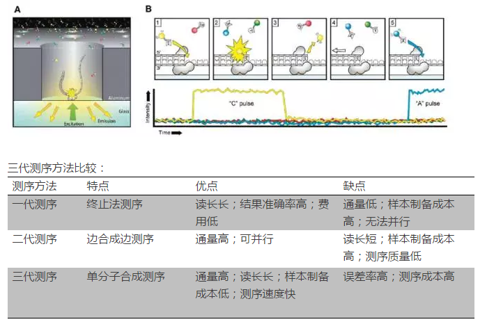 【技术】基因测序那些事