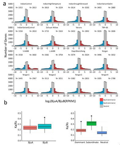 百迈客Nature&nbsp;Genetics芥菜基因组文章解读