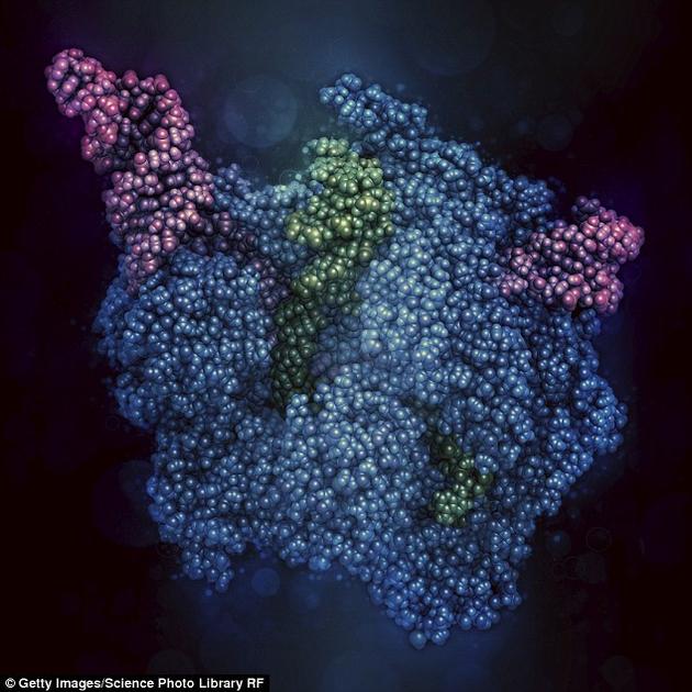 基因编辑技术成本降低：或被“生物骇客”利用制造生物武器