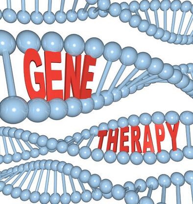 PNAS：科学家或成功实现利用基因疗法来治疗阿尔兹海默氏症