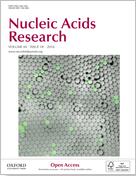 NAR：科学家阐明基因调节过程中的关键表观遗传开关机制