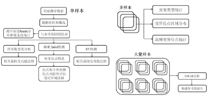 基因测序如何催动精准医疗迅猛发展