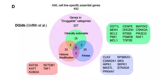 新发现！CRISPR基因编辑技术治疗急性髓性白血病（AML）新靶点KAT2A