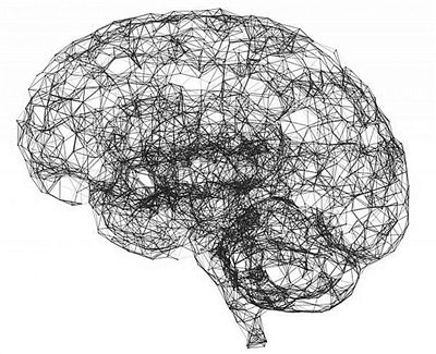 大脑中发现&quot;智力网络&quot;：理论上可调控基因提升智力