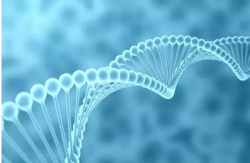 我国启动中华基因组精标准计划&nbsp;发力国家基因科学基准