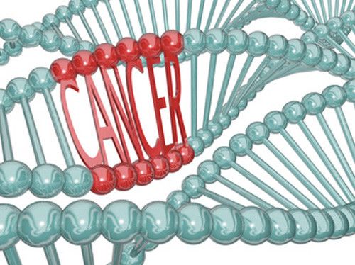 PNAS：科学家开发生物信息学新工具评估癌基因预测方法准确性