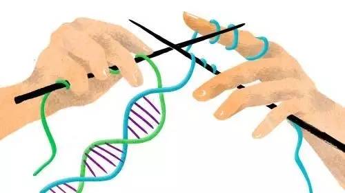 基因编辑CRISPR专利诉讼案正将学界撕裂